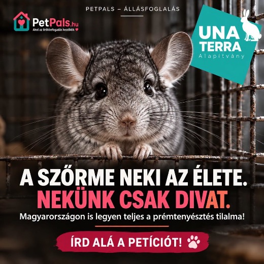 �rd al�!