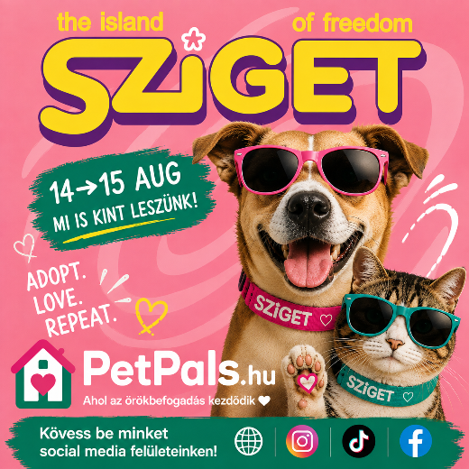 Sziget Fesztiv�l