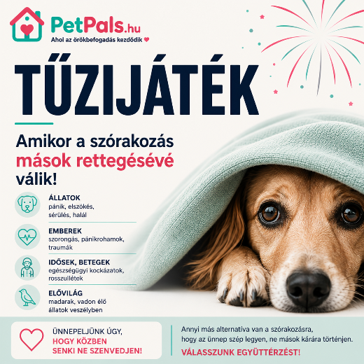 T�zij�t�k