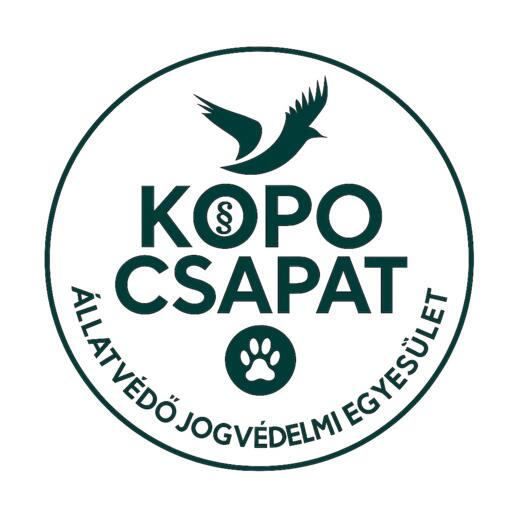 Kop� csapat