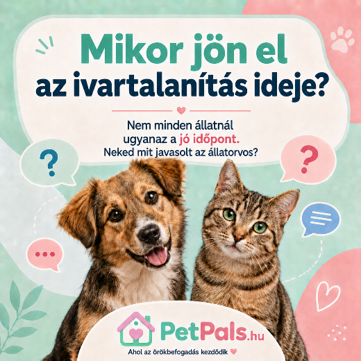 �llatok ivartalan�t�sa