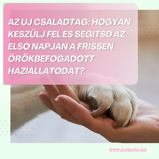 Az j csaldtag rkezse